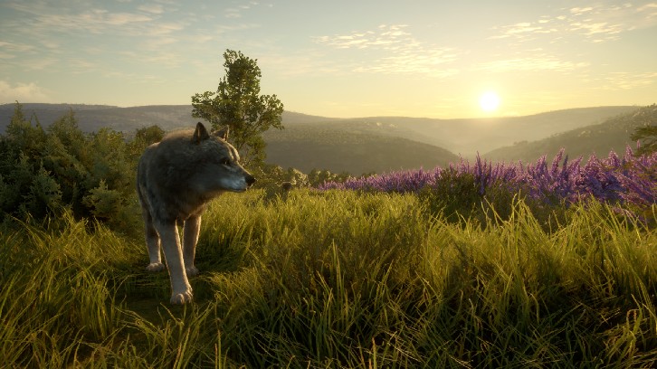 theHunter: Call of the Wild™ - Cuatro Colinas Game Reserve image