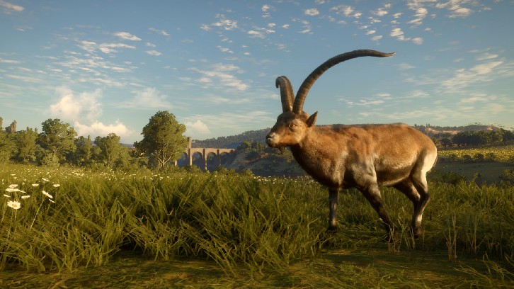 theHunter: Call of the Wild™ - Cuatro Colinas Game Reserve image