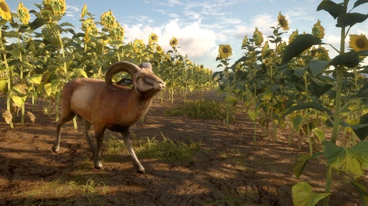 theHunter: Call of the Wild™ - Cuatro Colinas Game Reserve image