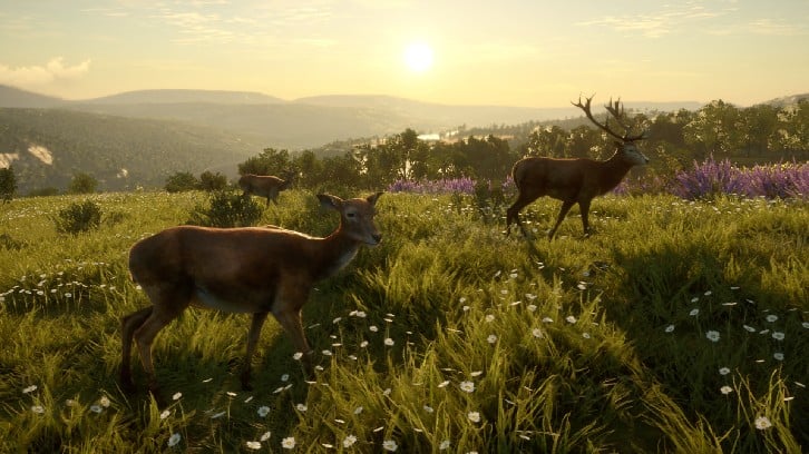 theHunter: Call of the Wild™ - Cuatro Colinas Game Reserve image