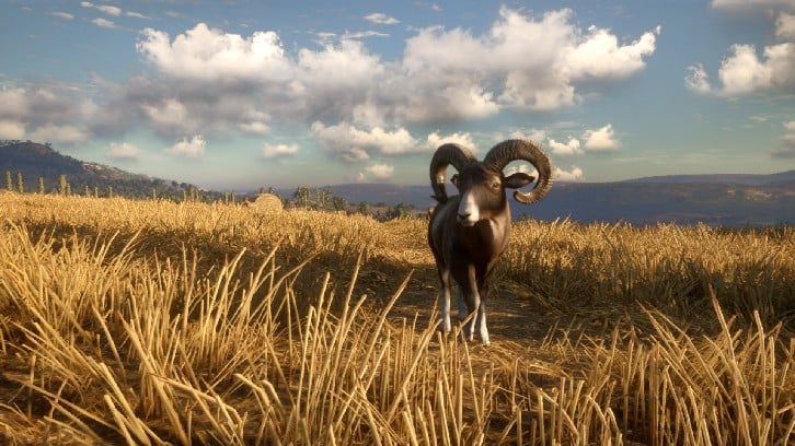 theHunter: Call of the Wild™ - Cuatro Colinas Game Reserve image