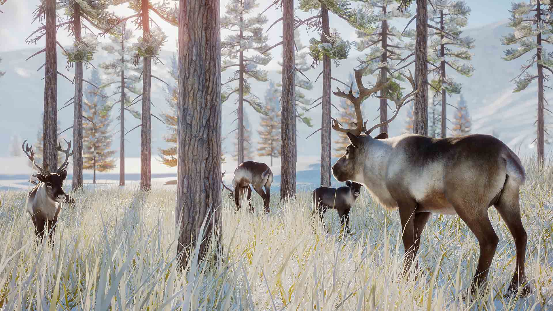 Planet Zoo: Arctic Pack image