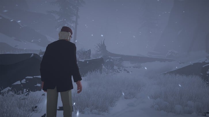 Forever Ago Steam Key screenshot from the video game thumbnail 8