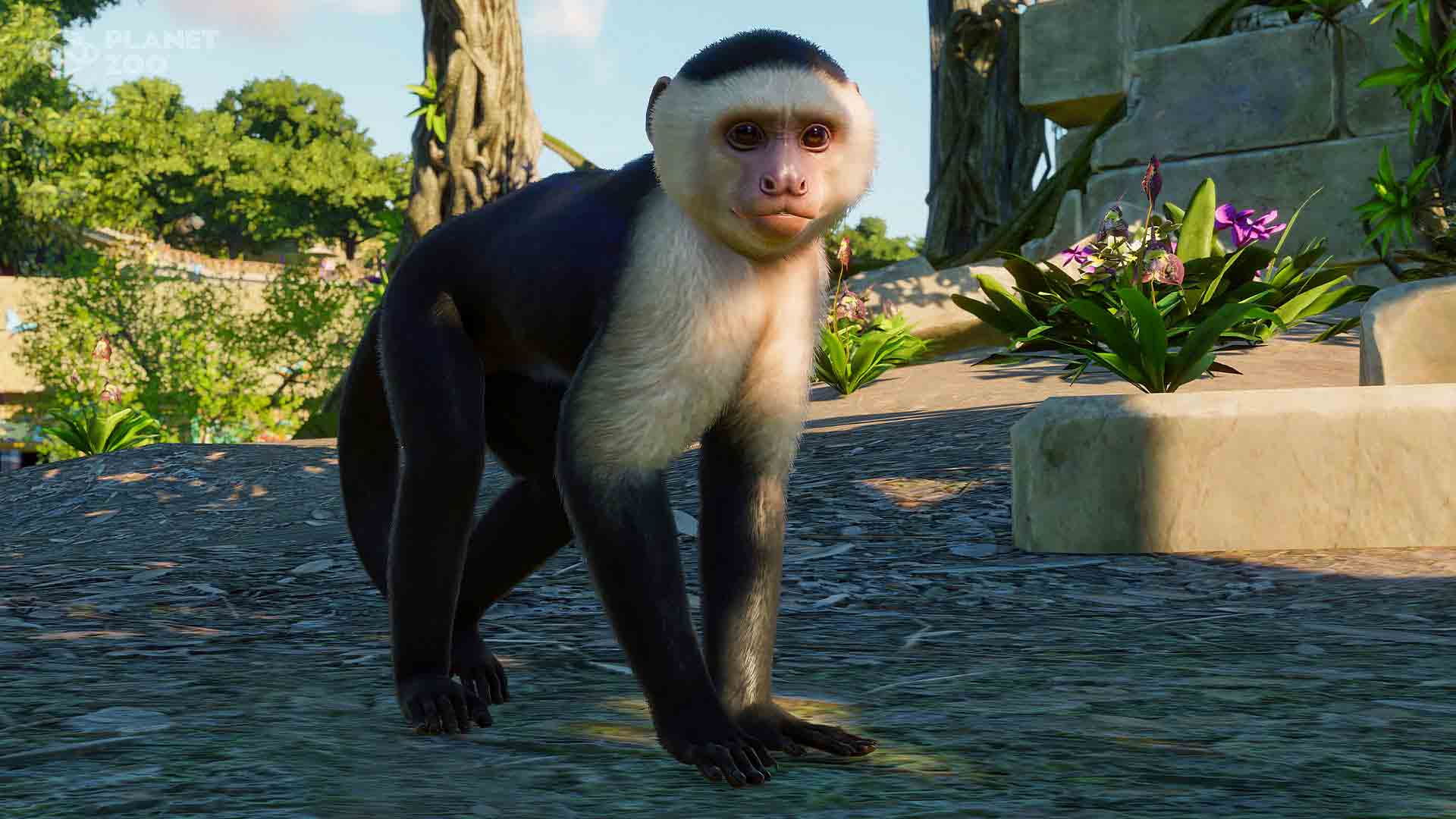 Planet Zoo: South America Pack image