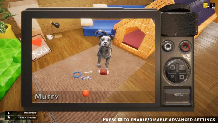 Animal Shelter image