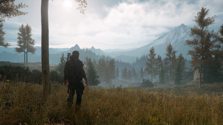 Days Gone image