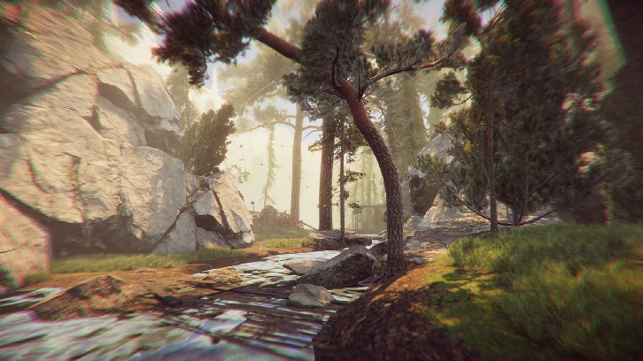 The Forest Cathedral image