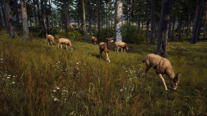 Way of the Hunter image