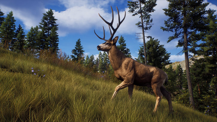 Way of the Hunter image