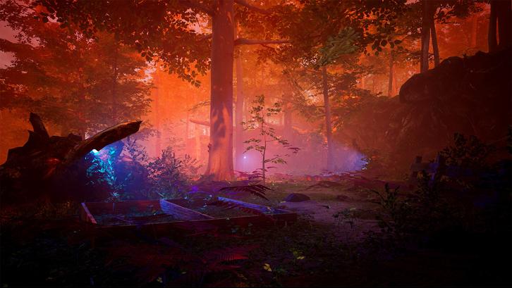 The Fabled Woods image