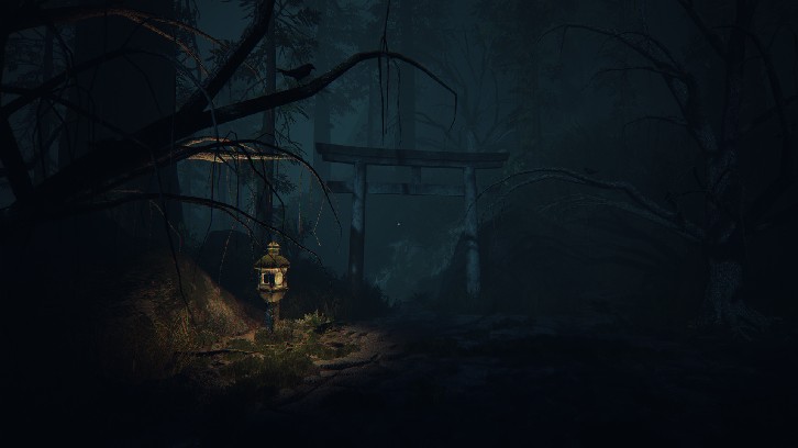 Ikai image