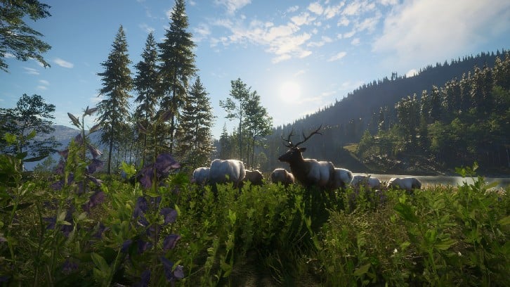 theHunter: Call of the Wild™ - Silver Ridge Peaks image