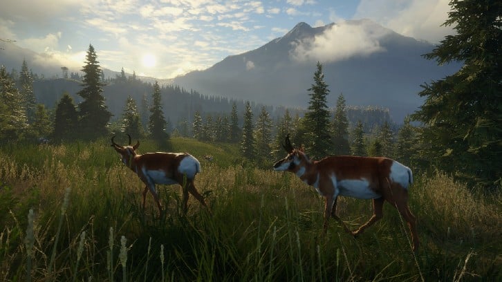 theHunter: Call of the Wild™ - Silver Ridge Peaks image