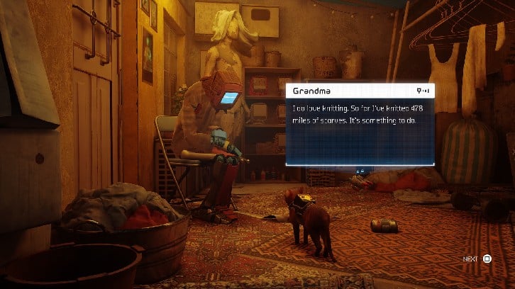 Stray image