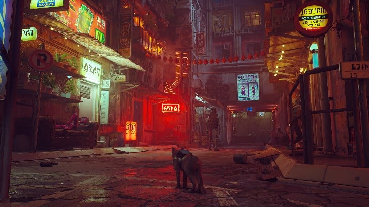 Stray image