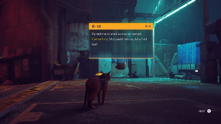Stray image