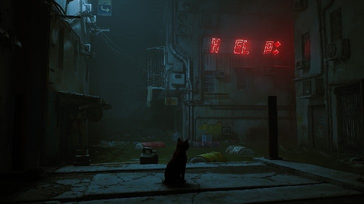 Stray image