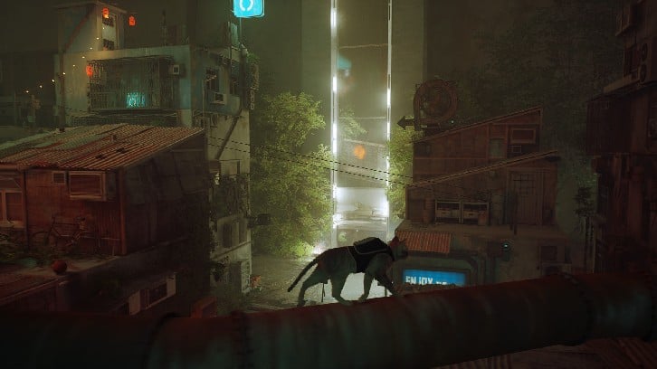 Stray image