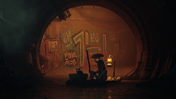 Stray image