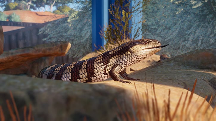 Planet Zoo: Australian Pack image