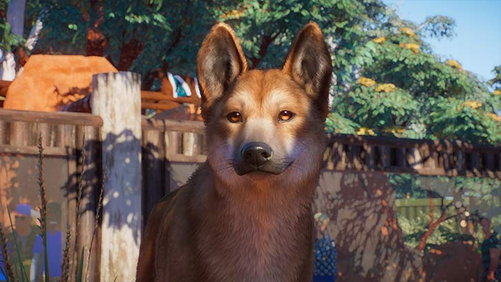 Planet Zoo: Australian Pack image