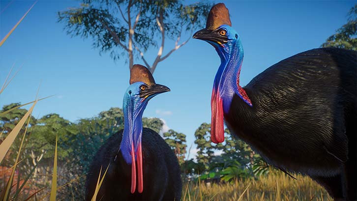 Planet Zoo: Australian Pack image