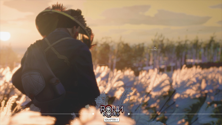 Ronin: Two Souls CHAPTER 1 image