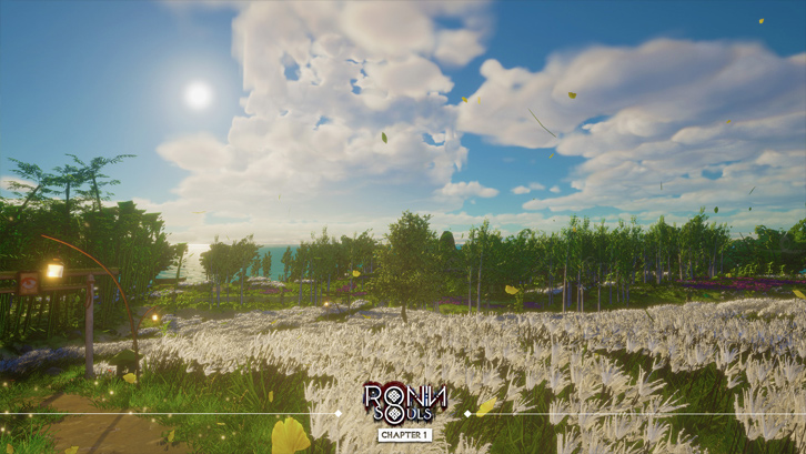 Ronin: Two Souls CHAPTER 1 image