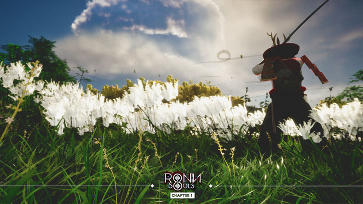 Ronin: Two Souls CHAPTER 1 image
