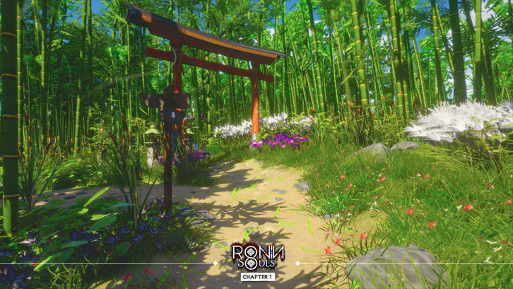 Ronin: Two Souls CHAPTER 1 image