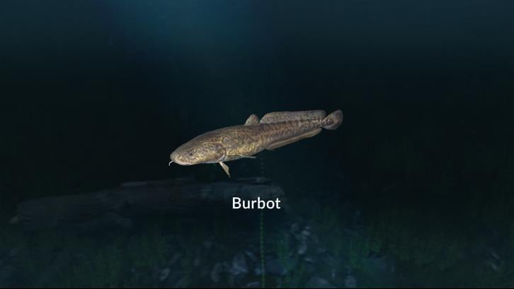 Ultimate Fishing Simulator - New Fish Species image