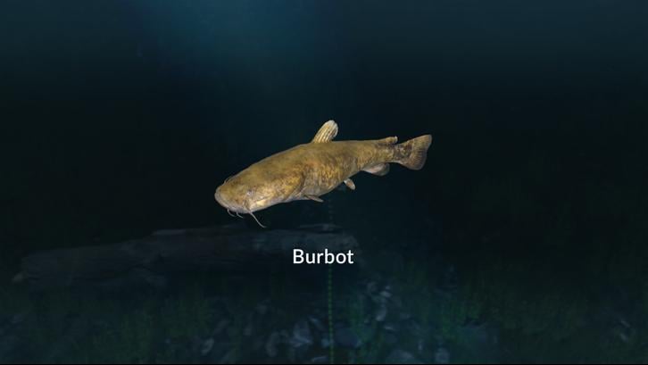 Ultimate Fishing Simulator - New Fish Species image