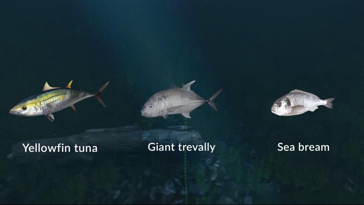 Ultimate Fishing Simulator - New Fish Species image