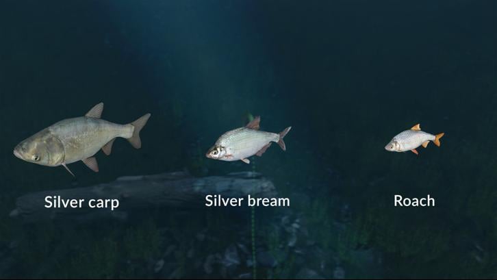 Ultimate Fishing Simulator - New Fish Species image