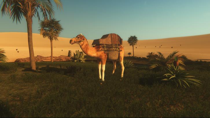Starsand Steam Key screenshot from the video game thumbnail 3