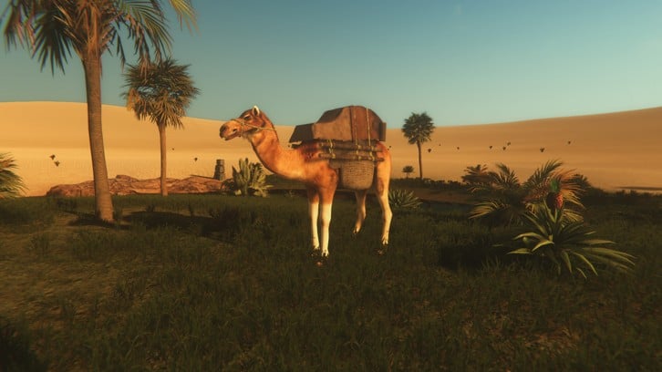 Starsand image