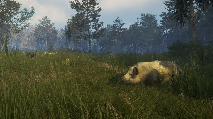 theHunter: Call of the Wild™ - Te Awaroa National Park image