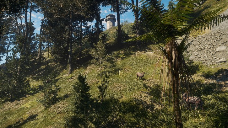 theHunter: Call of the Wild™ - Te Awaroa National Park image