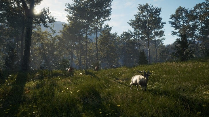 theHunter: Call of the Wild™ - Te Awaroa National Park image