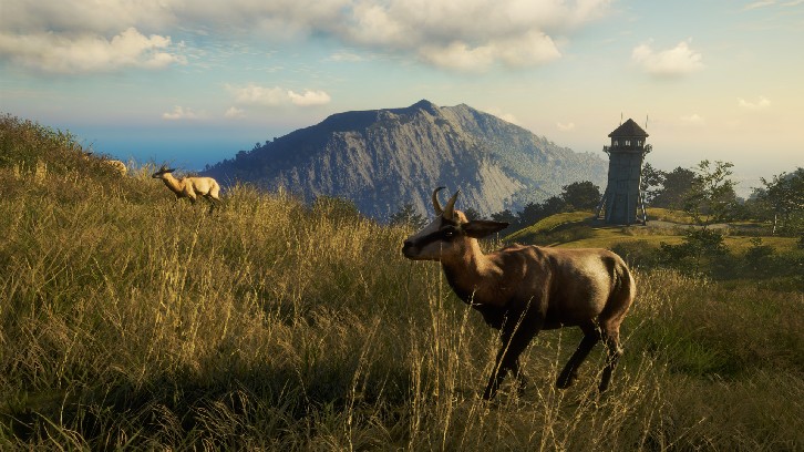 theHunter: Call of the Wild™ - Te Awaroa National Park image