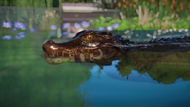 Planet Zoo: Aquatic Pack image