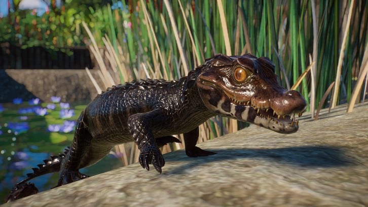 Planet Zoo: Aquatic Pack image