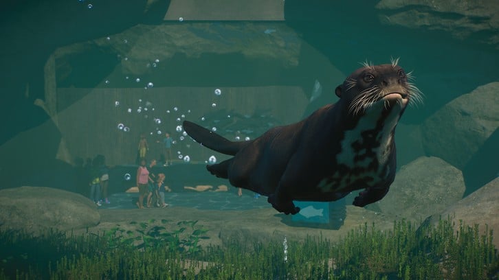Planet Zoo: Aquatic Pack image