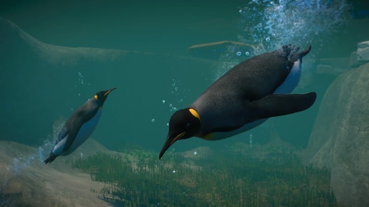 Planet Zoo: Aquatic Pack image