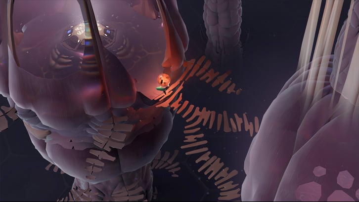 Cocoon image