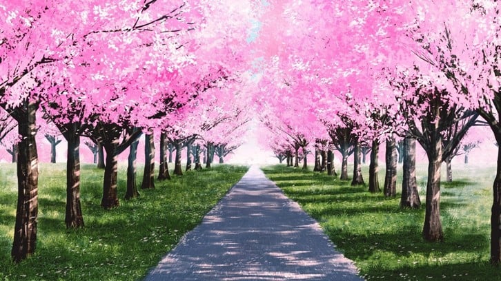 My Summer Adventure: Memories of Another Life image