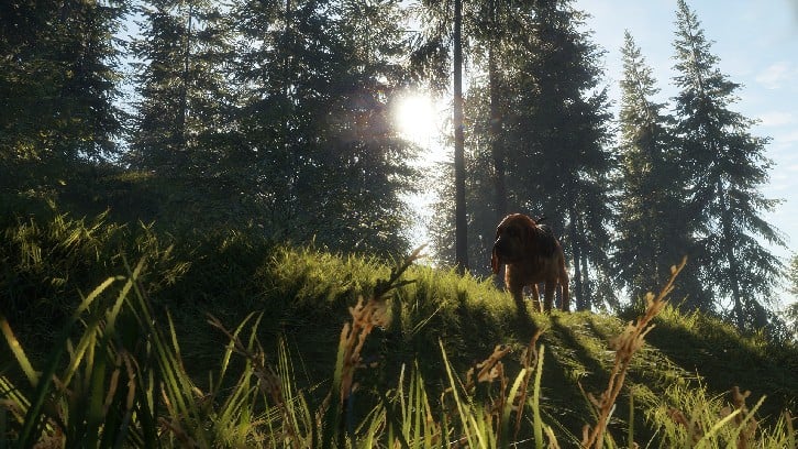 theHunter: Call of the Wild™ - Bloodhound image