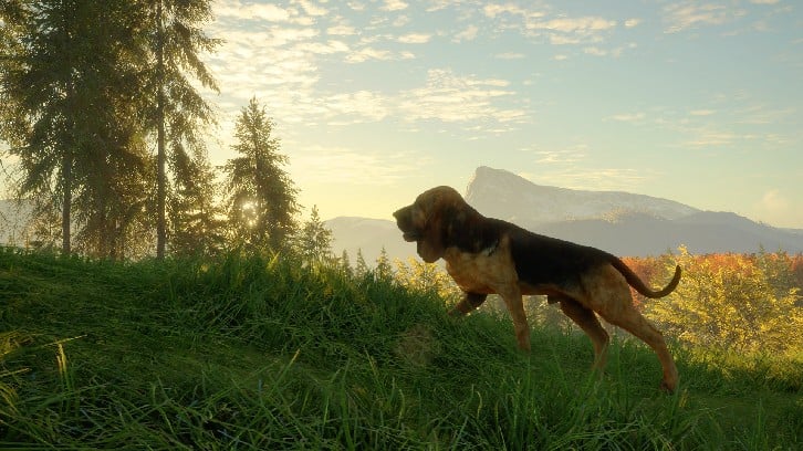 theHunter: Call of the Wild™ - Bloodhound image