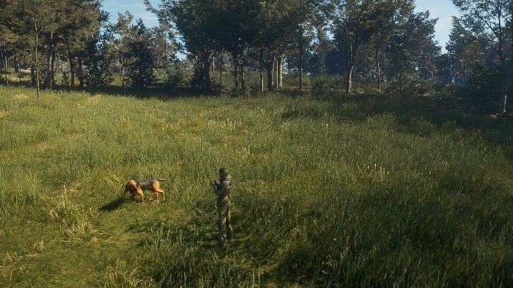 theHunter: Call of the Wild™ - Bloodhound image