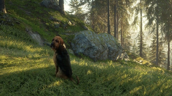 theHunter: Call of the Wild™ - Bloodhound image
